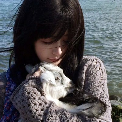 派特森与芬达猫